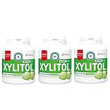 味長続き キシリトールガム ボトルタイプ90粒(マスカット) 【×3個】