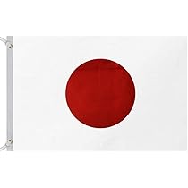 Amazon.co.jp: Xreisi日本国旗 日の丸国旗 特大タイプ旗