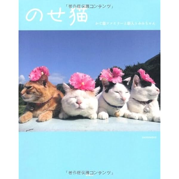 のせ猫 かご猫ファミリーと新入りみみちゃん Shironeko 本 通販 Amazon