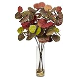 ほぼ自然6698 Giant Sea Grape Leaf with円柱装飾シルク植物、グリーン