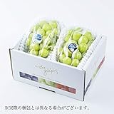 シャインマスカット 岡山県産 青秀 約500g×2房