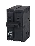 Murray MP2125 125-Amp 2 Pole 240-Volt Circuit Breaker [並行輸入品]