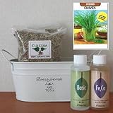 チャイブの栽培セット/豊作セット（液体肥料付き）プランターホワイト仕様