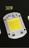 ランプ 投光器 チップ スマートドライバ ランプAC 110V 220V LED 20W 30W 50W