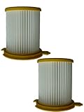 (2) Royal Dirt Devil F12 Pleated HEPA Canister Vision w/activated Charcoal, Vision, Outlast, Turbo, 