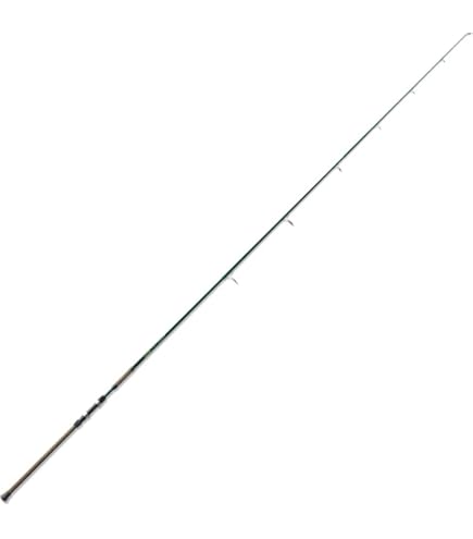 Amazon | Daiwa Ardito 11フィート ミディアムパワー ファスト