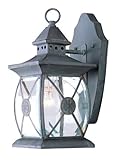 Livex Lighting 2091-61 Outdoor Wall Lantern with Clear Beveled Glass Shades, Charcoal [並行輸入品]