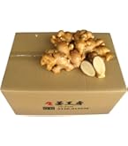 Amazon.co.jp: 種生姜 千葉県産三州生姜10kg : 食品・飲料・お酒