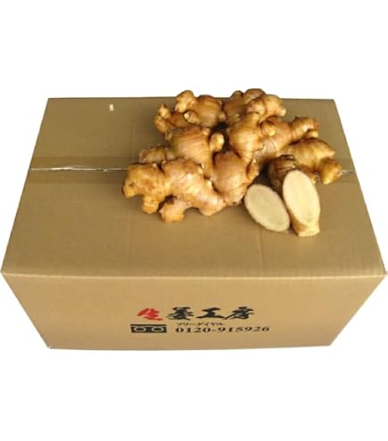Amazon.co.jp: 種生姜 高知県産近江生姜（白）10kg : 食品・飲料・お酒