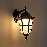 YJH+ レトロウォールランプ、ヨーロッパスタイルの屋外シングルヘッドの通路の廊下の階段の壁の照明屋外防水の鉄の壁ランプシングルヘッドE27 美しく、寛大な ( サイズ さいず : 21*40CM )