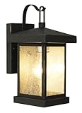 Trans Globe Lighting 45640 WB 1-Light Coach Lantern, Weather Bronze [並行輸入品]