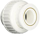 Homewerks Worldwide tv206194 1 – 1 / 4インチPVCスリップUnion