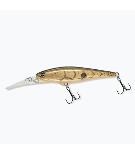 ZENDA100ト85 ペンシルベイト 4個セット Amazon.co.jp: レヴォニック（REVONIK）ルアー ペンシルベイト ZENDA