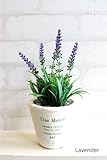 ラベンダーポット* テラコッタ白鉢 造花 消臭◎CT触媒