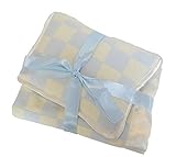 Knit Baby Blanket with Matching Pillow (Baby Blue-Cream) by Boutique Collection