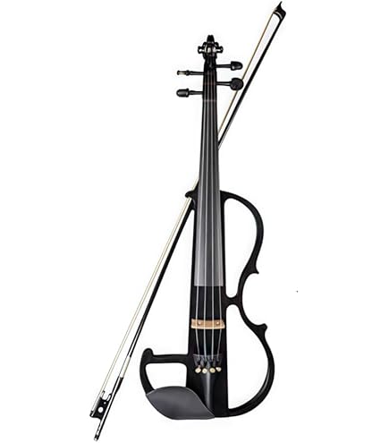 Amazon.co.jp: プロ仕様エレキバイオリンセット アクセサリー付き