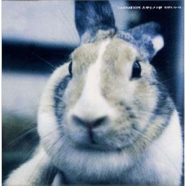 Amazon.co.jp: 天国と地獄 20周年記念コレクターズ・エディション