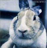 ���T�V�mep