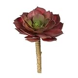 人工多肉植物Burgundy EcheveriaロゼットWグリーンセンター