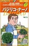 【バジリコ】バジリコ・ナーノ　小袋（200粒）（トキタ種苗）