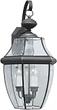 Forte Lighting 1601-03-14 Exterior Wall Light with Clear Beveled Glass Shades, Royal Bronze [並行輸入品]