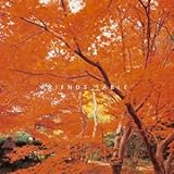 �}�C���h�E�g�����L���e�B�[�E�V���[�Y �{�P�\�h�kFRIENDS TABLE�l