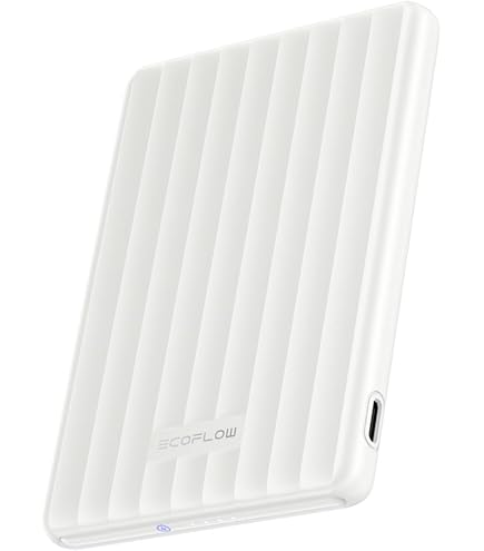 Amazon | EF ECOFLOW RIVER 600 専用エクストラバッテリー | EF