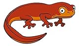 Wallmonkeys Cartoon Newt Peel and Stick Wall Decals WM294940 (18 in W x 11 in H) [並行輸入品]