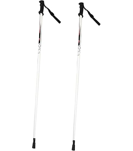 Amazon | ATOMIC(アトミック)AMT JR Blue ジュニア スキーポール