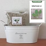 ベビーリーフ（サラダマスタード）の栽培セット/標準セット（液体肥料無し）プランターホワイト仕様