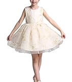 CHD　キッズ プリンセス ドレス フォーマル 子供 ワンピース ベビードレス キッズ 子供 チュールスカート 結婚式 フラワーガール ドレス 女の子 エレガント 結婚式 演奏会 ピアノ 発表会 女の