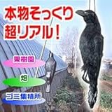 鳥害　本物ソックリカラス　イヤガラス　1匹