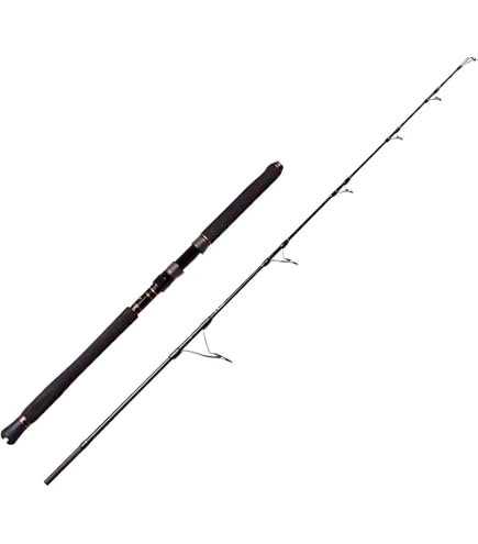 Amazon | Penn Prevail II - PREINII1017C70 | Penn | 船竿