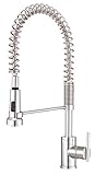 Danze D455058 Parma Pre-Rinse Single Handle Spring Spout Kitchen Faucet, Chrome, Chrome [並行輸入品]