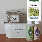 プチサラダセロリの栽培セット/豊作セット（液体肥料付き）プランターホワイト仕様