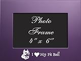 4x6 Brushed Metal Picture Frame-I love my Pit Bull-Purple by LXG, Inc.