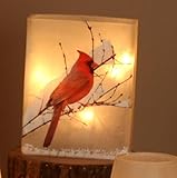 Cardinal正方形ガラスインドア花瓶withライト6インチ高