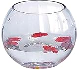 SACHI テラリウム 観葉植物 インテリア アクアリウム 金魚鉢 にも (20cm)