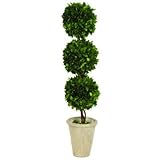 Sage & Co. EPG10398 Tripple Ball Presseved Topiary [並行輸入品]