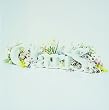 ClariS ~SINGLE BEST 1st~ (初回生産限定盤) (DVD付)