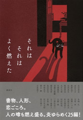 講談社:それはそれはよく燃えた