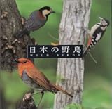 ���{�̖쒹�qNew Best One�r