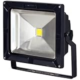 日動工業 LEDカラーエコナイター50 発光色:青 明るさ:5000lm 防雨型 LEN-50D-DB-B