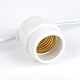 100 Foot S14 Edison Outdoor String Lights - Commercial Grade String Lights - Backyard Garden Gazebo 