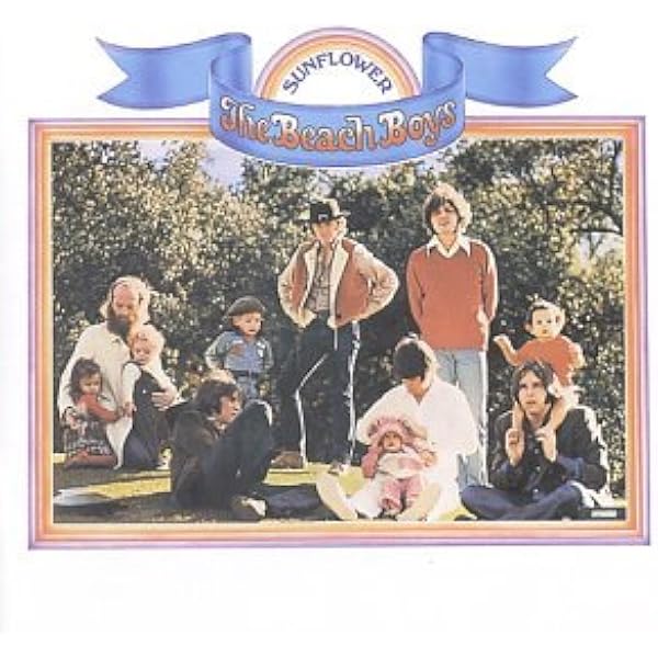 Amazon.co.jp: サンフラワー: ミュージック