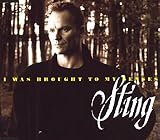 �u���[�g�E�g�D�E�}�C�E�Z���V�Y