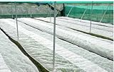 Mtef 防虫網 防虫ネット 張替え防虫網 バグ昆虫バリア バードネットテント モスキートネット 植物を保護する ガーデン・ネッティング ホワイト 2x6.1m