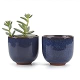 T4U 6.5CM 陶器ミ二植木鉢 高さ増加！ 氷裂紫砂シリーズ 多肉植物 サボテン鉢 フラワーポット プランター容器 ブルー 2個入り
