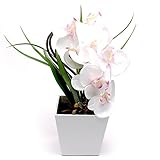 【2ndFloor】LEDフラワー Orchid（胡蝶蘭）ホワイト / 光るフェイクグリーン（造花）