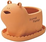 GREEN HOUSE Animal Terracotta Sサイズ カエル 2975-G